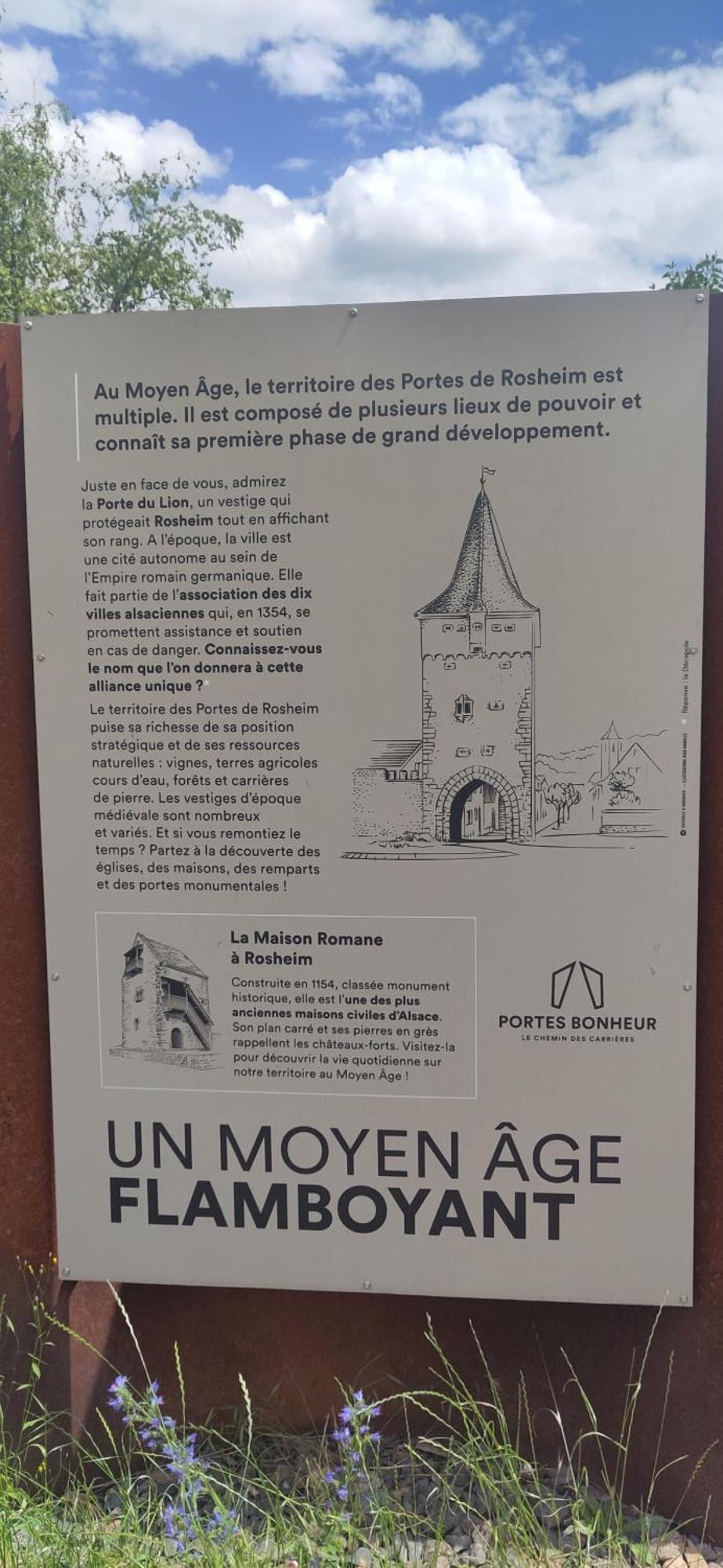 La Maisonnette Bleue, Eco-Logis Equipe De Toilettes Seches Rosheim Buitenkant foto